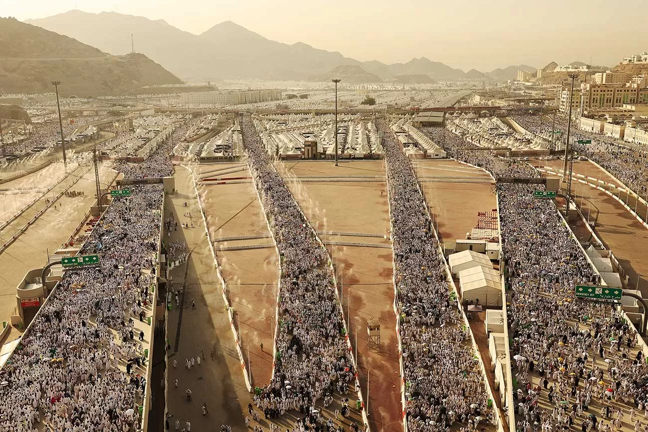 Decorative stone image 3